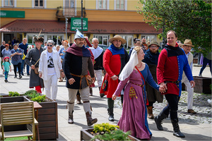 VI Dzień Hetmański - Piknik historyczny