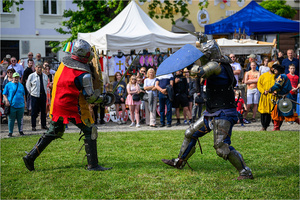 VI Dzień Hetmański - Piknik historyczny