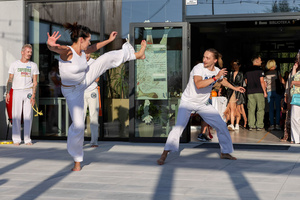 Piknik 13. Dzielnicy - Pokaz sztuki walki - capoeira.