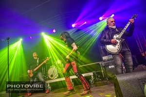 Koncert: 33. tarnowski finał WOŚP - Galeria II - Na scenie Futro z Ryby