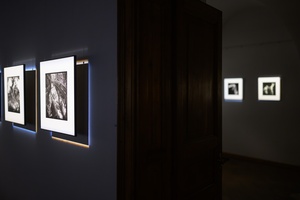 Wystawa: Depresje - Prace fotograficzne na wystawie.